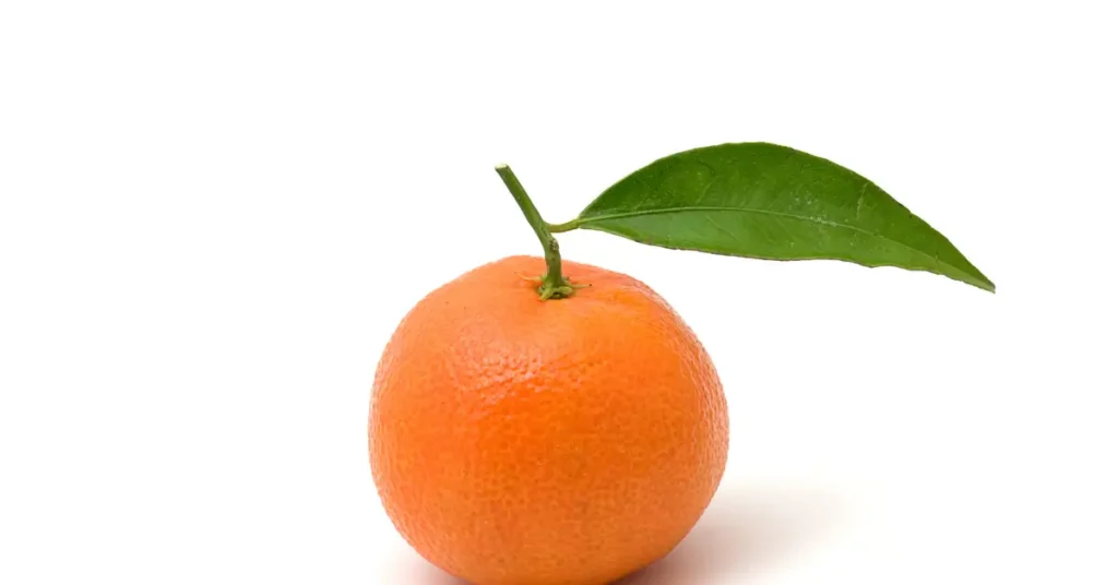 Une clémentine orange avec une feuille verte attachée à sa tige, posée sur un fond blanc.