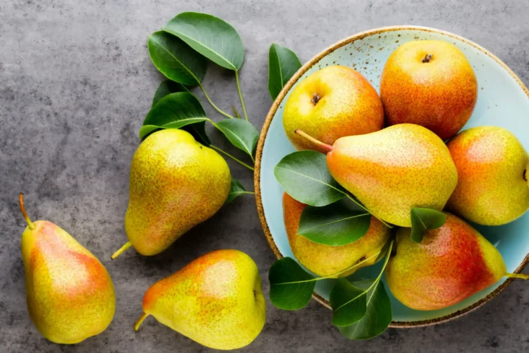 Poire fruit