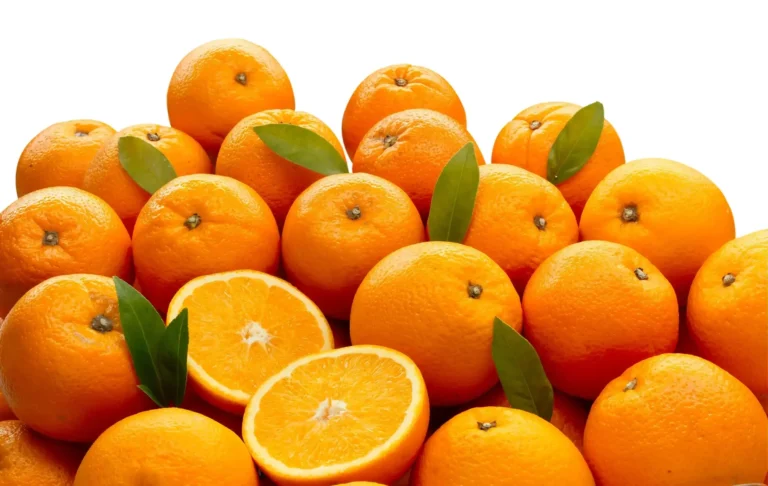 Oranges mûres