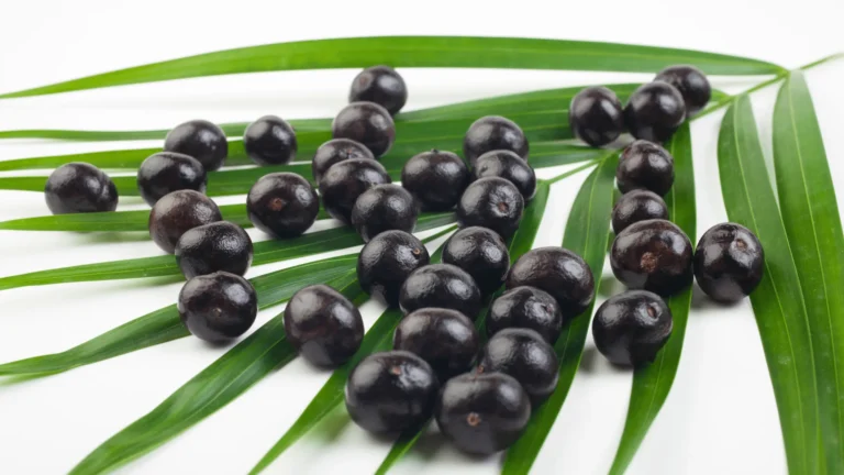 Açaï fruit