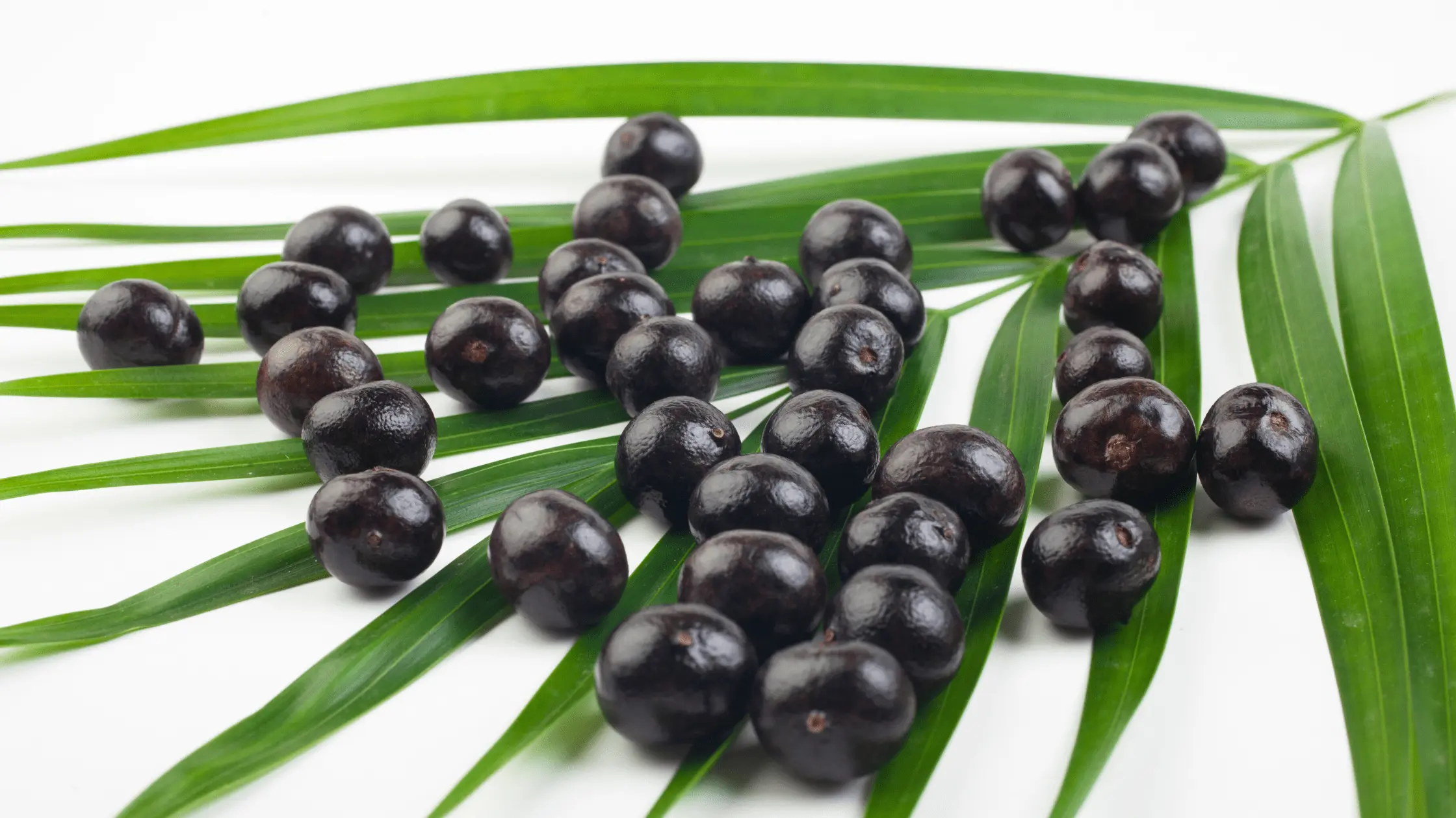 Açaï fruit