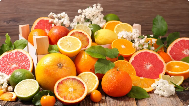 agrume-orange-pampelmousse