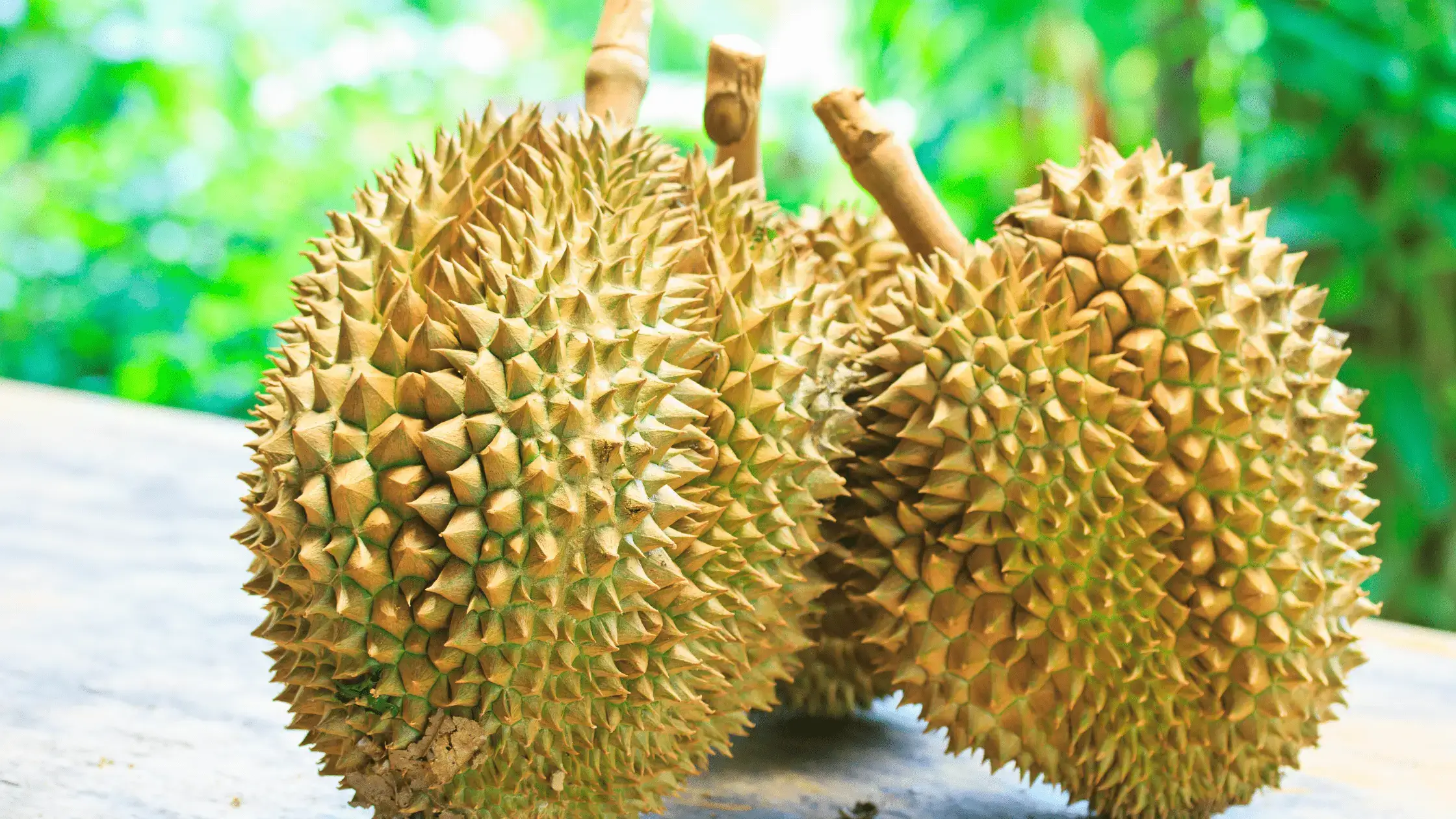 Trois durians épineux avec leurs tiges, posés sur une table en bois, sur fond de verdure.
