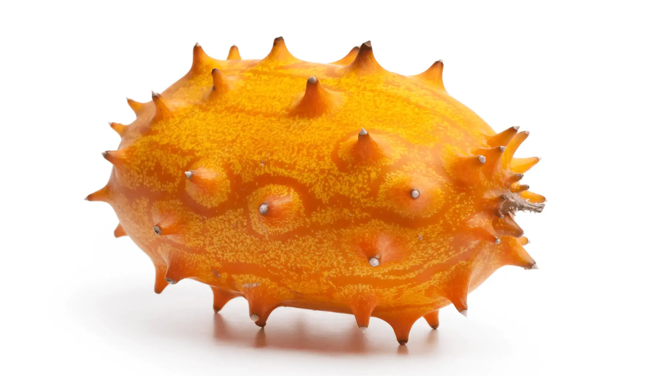 Un fruit kiwano orange vif avec une peau couverte de petites épines, isolé sur un fond blanc.
