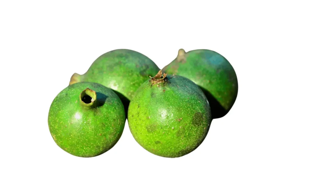 Quatre fruits de huito verts et ronds posés sur un fond blanc, utilisés pour leurs propriétés naturelles et cosmétiques.