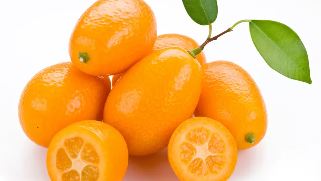 Plusieurs kumquats orange vif, certains entiers et d'autres coupés en rondelles, avec une branche et des feuilles vertes en arrière-plan.