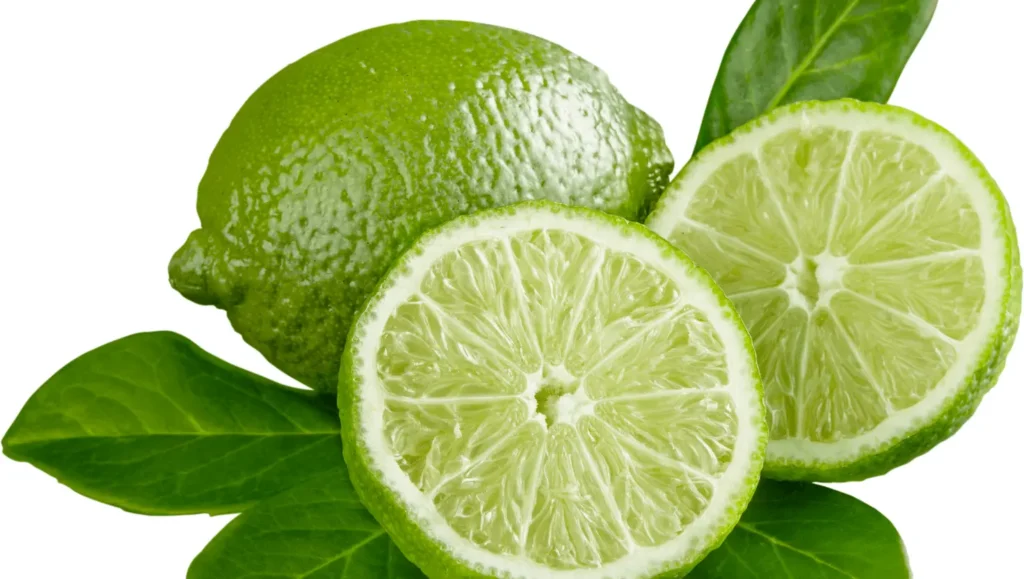 Lime verte entière accompagnée de deux rondelles coupées, exposant leur chair juteuse et translucide.