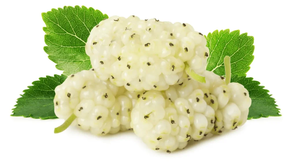 Gros plan sur des mûres blanches charnues posées sur des feuilles vertes, mettant en valeur leur texture délicate et translucide.