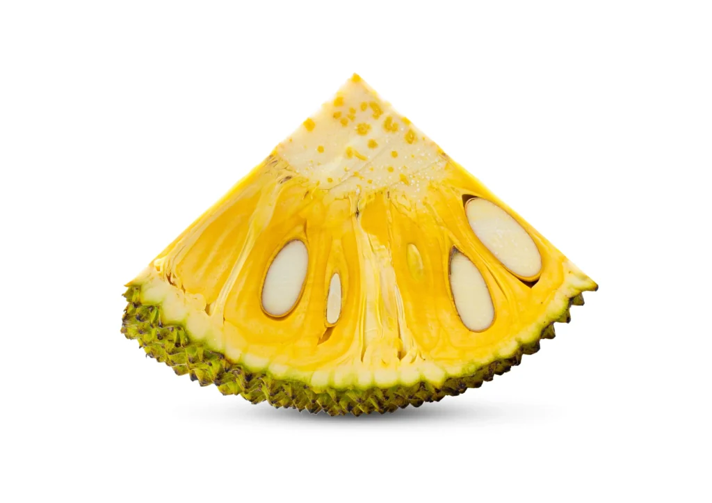 Une tranche de jackfruit montrant sa chair jaune et ses graines.