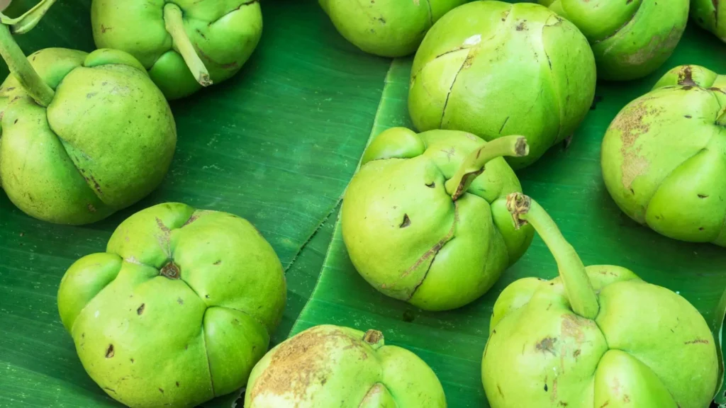 fruits en e-Dillenia indica disposés sur des feuilles vertes.