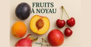 Photo de fruits à noyau : pêche, cerise, prune, abricot – FruityGlobe