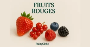 Panier visuel de fruits rouges : fraise, framboise, myrtille, groseille, mûre – FruityGlobe