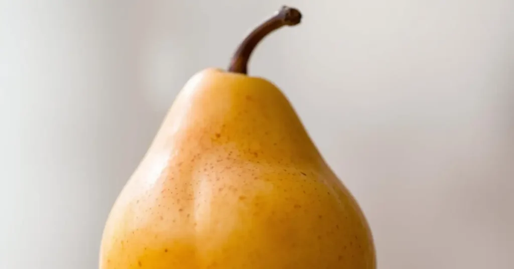 Gros plan d’une poire Nashi jaune légèrement tachetée, sur fond blanc flou, avec son pédoncule visible en haut.