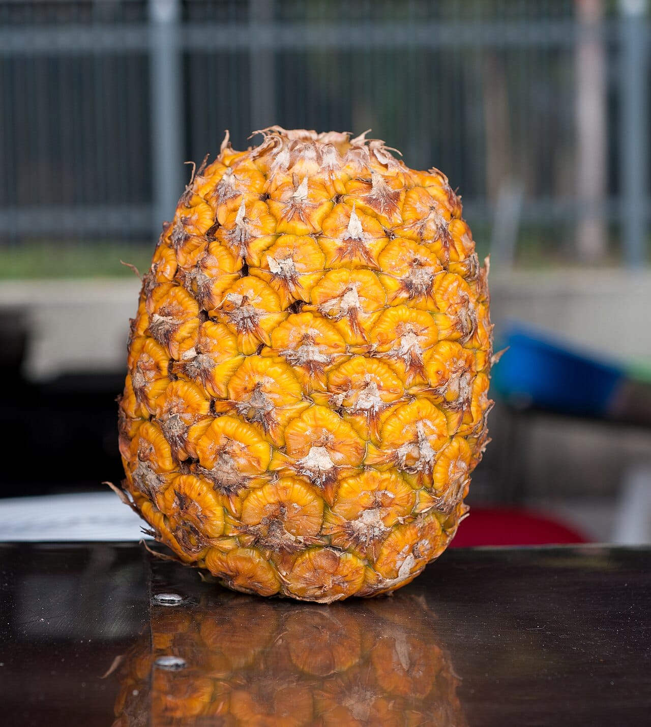 Ananas fruit: Un trésor tropical aux multiples bienfaits 2 Ananas mûr entier à l'écorce dorée et à la couronne verte