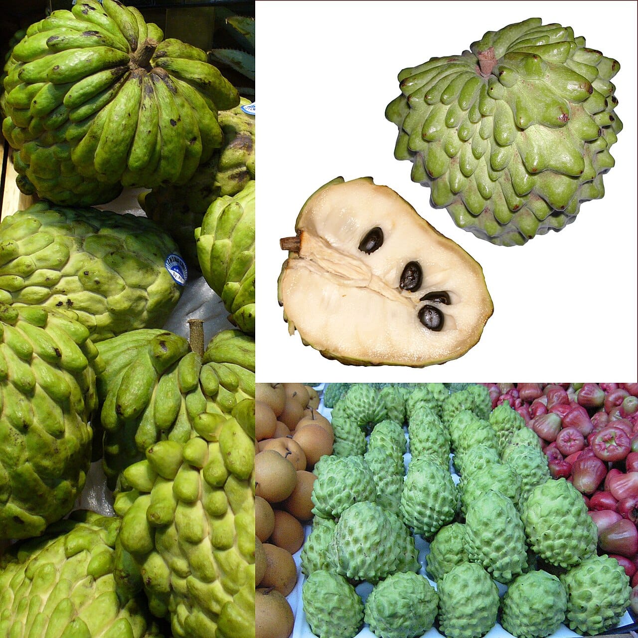 Atemoya fruit: 10 Bienfaits Surprenants pour Votre Santé 2 Atemoya entière et coupée en deux : chair blanche crémeuse et graines noires de ce fruit exotique