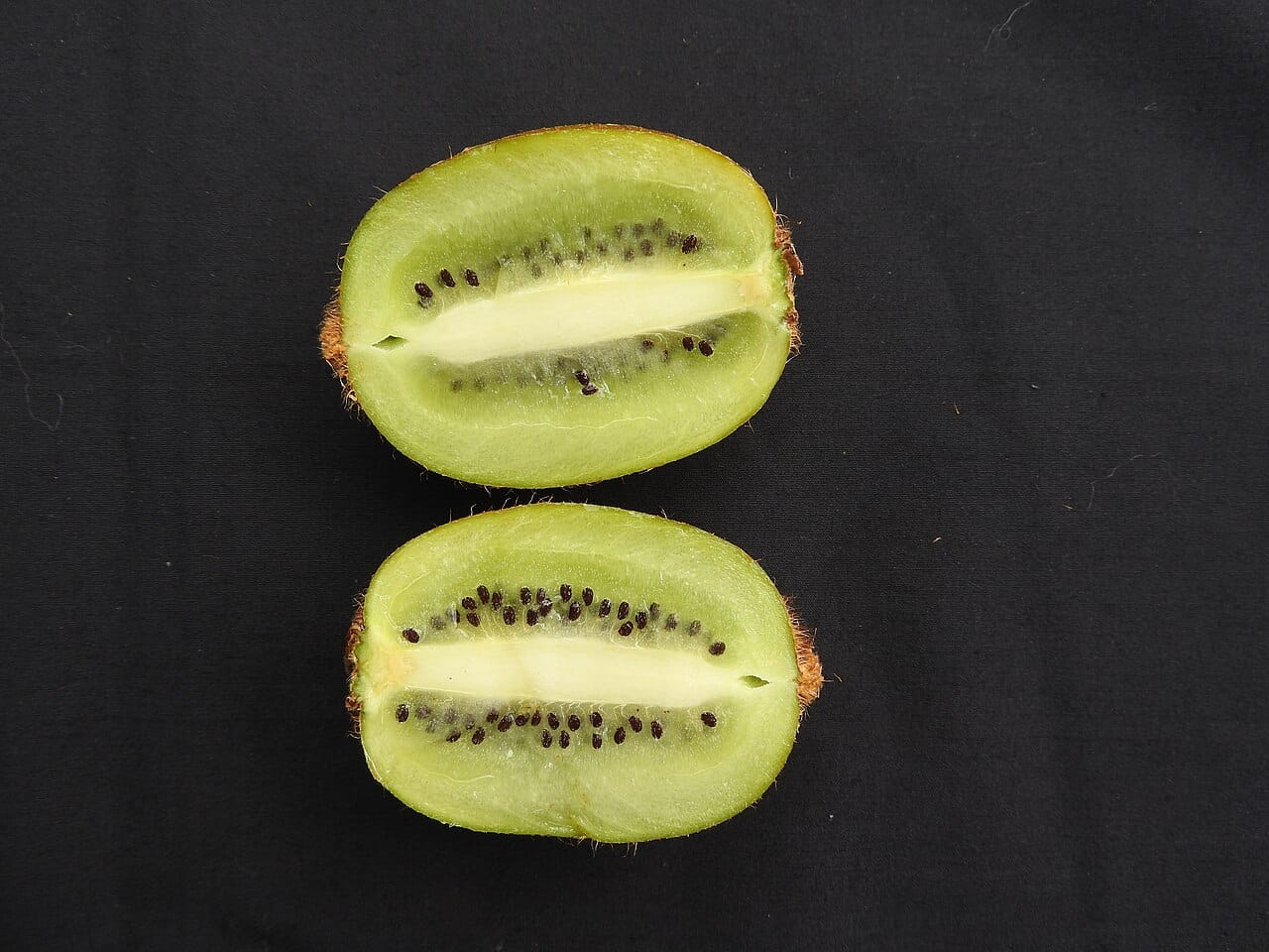 Kiwi fruit : 5 secrets santé puissants à découvrir ! 2 Deux moitiés de kiwi à chair verte, graines noires et cœur blanc