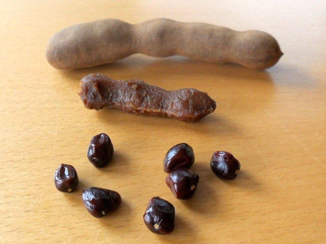 Tamarin fruit: Un fruit exotique riche en saveurs et bienfaits 2 Gousse de tamarin entière, pulpe brune collante et graines luisantes